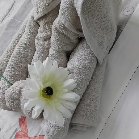 Casa Ohana A A Dream *