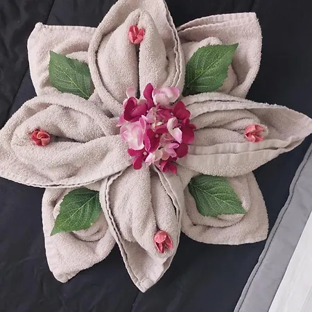 Apartamento Casa Ohana A A Dream *